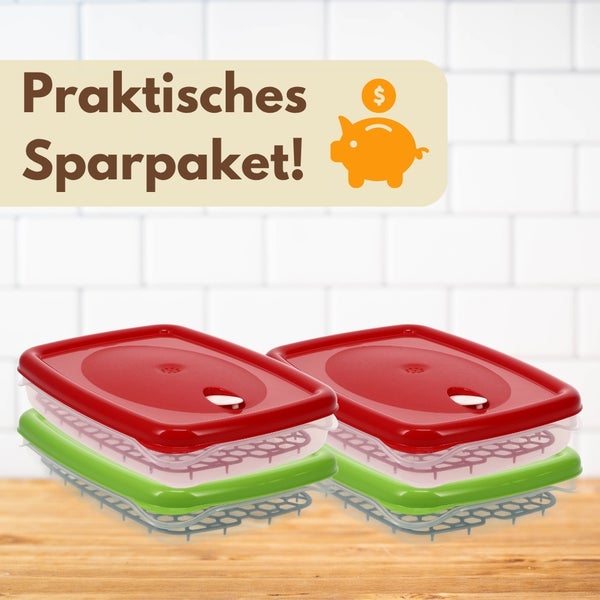 Zwei Frischhaltedosen im Sparpaket mit Deckel und Abtropfeinsatz