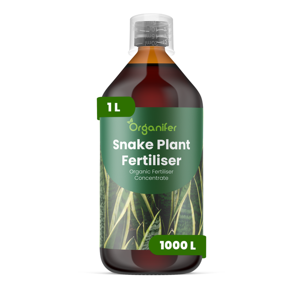 Organifer Bogenhanf-Dünger, 1 Liter Flasche, organisches Düngerkonzentrat für circa 1000 Liter Gießwasser.