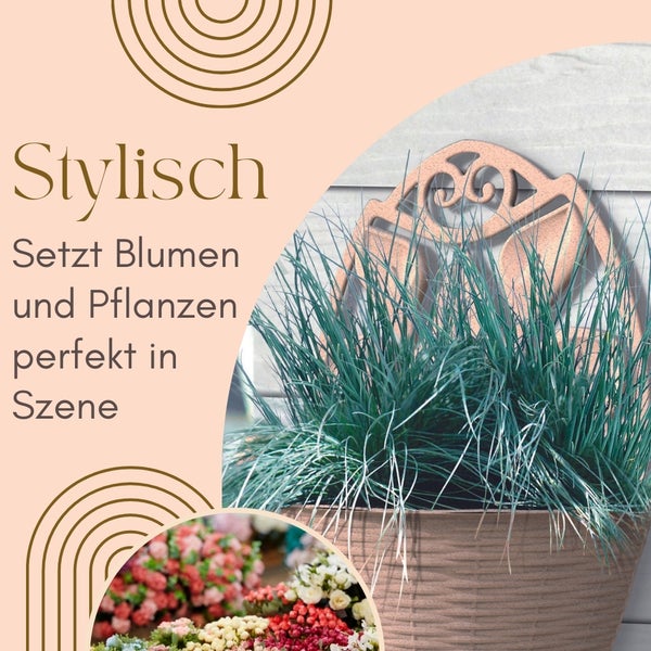 Blumen und Pflanzen stilvoll in Szene gesetzt