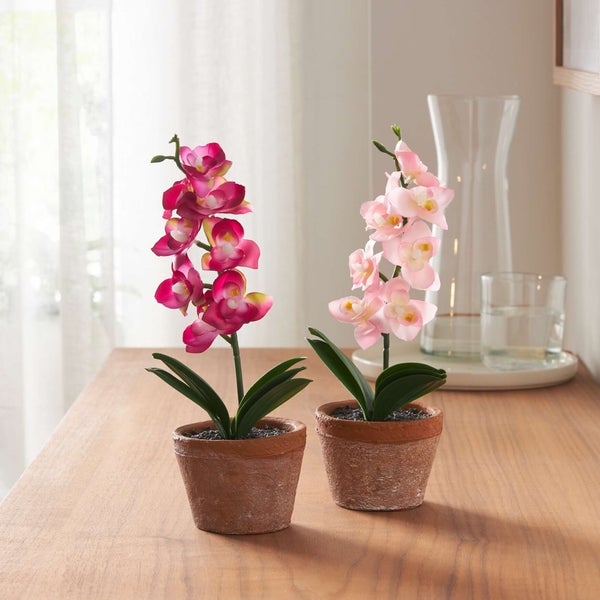 FRANK FLECHTWAREN | Orchidee im Topf, 2er Set, KUNSTSTOFF, BETON, 8,5 x 8,5 x 25 cm