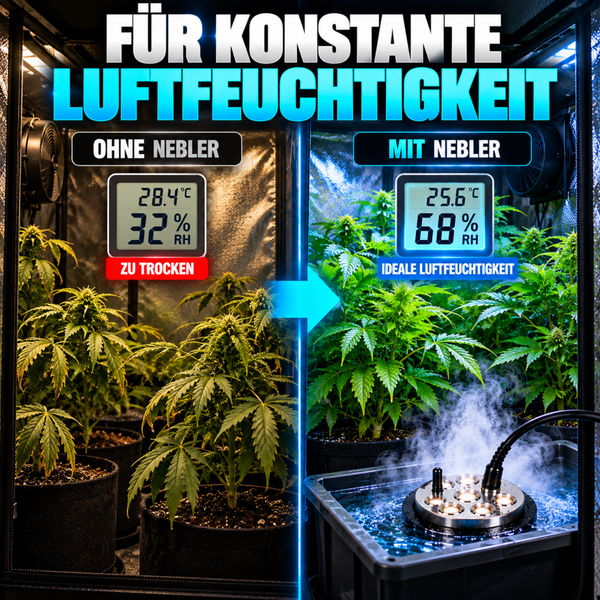 Vergleichsbild eines Growzeltes mit und ohne Nebler zur Regulierung der Luftfeuchtigkeit für Pflanzen.