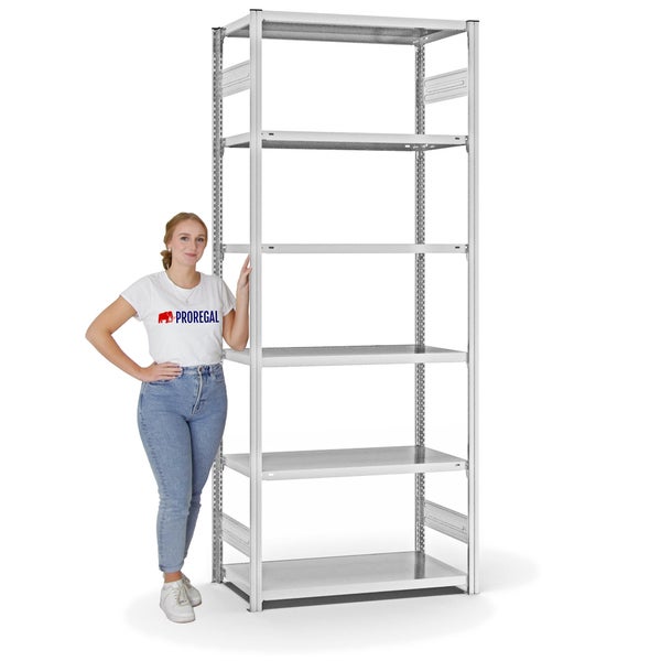 PROREGAL Fachbodenregal Stecksystem T-Profil Light-Duty Grundregal HxBxT 250 x 100 x 50 cm 6 Ebenen Fachlast 140 kg Beidseitig Nutzbar Lichtgrau