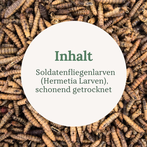 Soldatenfliegenlarven, schonend getrocknet