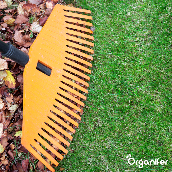 Herbstdünger All-In-One (20x = 400 kg für 8.000 m2) - Organifer