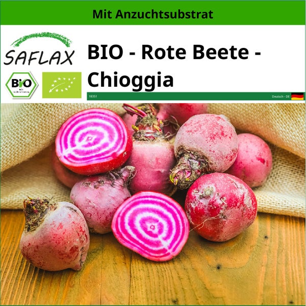 SAFLAX  - BIO - Rote Beete - Chioggia - Beta vulgaris - 70 Samen - Mit keimfreiem Anzuchtsubstrat