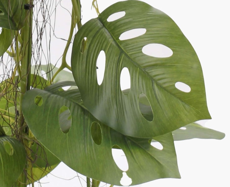 Künstliches Fensterblatt Monstera mit großen Blättern und Kletterhilfe.