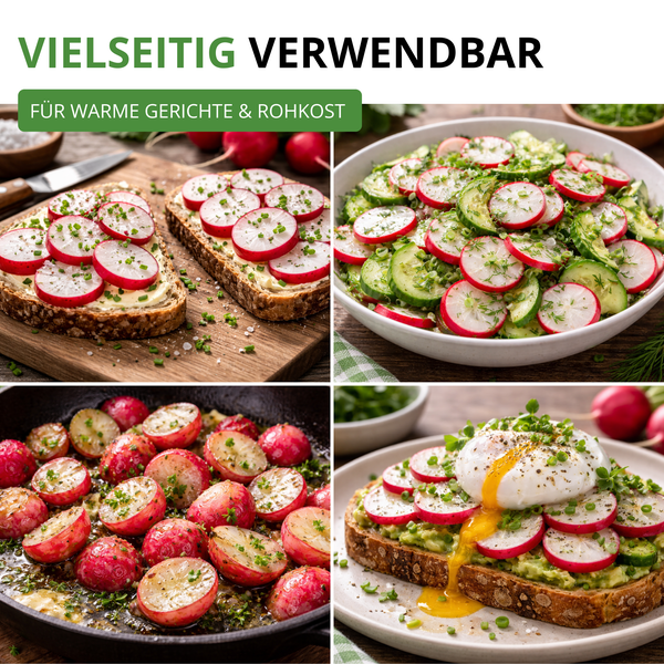 Vielseitige Verwendungsmöglichkeiten von Radieschen in warmen und kalten Gerichten wie Salat, Pfannengericht und auf Brot.