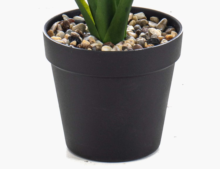 Schwarzer Kunststoff-Blumentopf gefüllt mit kleinen Zierkieseln und der Basis einer grünen Pflanze.