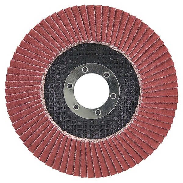 Lamellenschleifscheibe