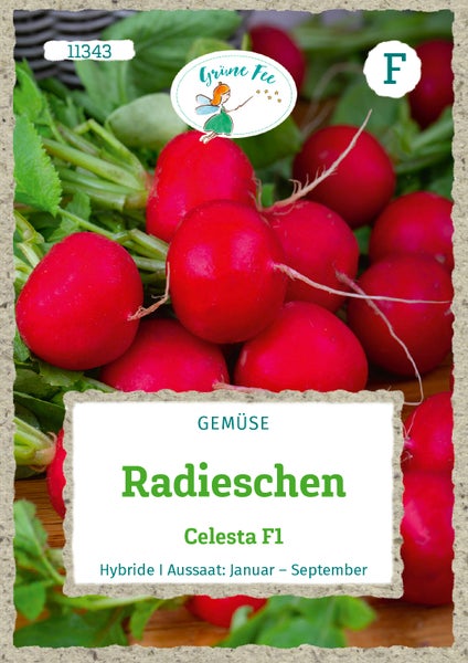 Samenpackung für Radieschen Celesta F1 mit Grüne Fee Logo, Abbildung von frischen Radieschen mit Blattgrün, Aussaat von Januar bis September.