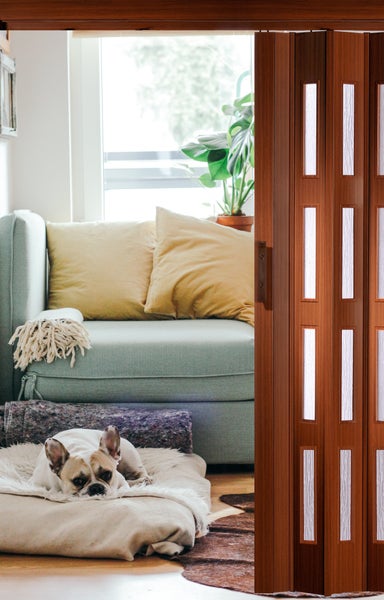 Holz Schiebetür mit Glaseinsätzen im Wohnzimmer