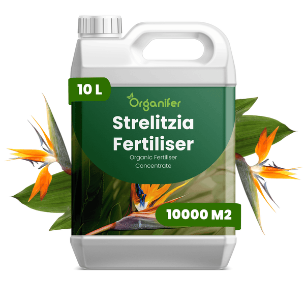 Organifer Strelitzia Dünger, organisches Düngerkonzentrat im 10 Liter Kanister für 10000 Quadratmeter, Organifer Logo.