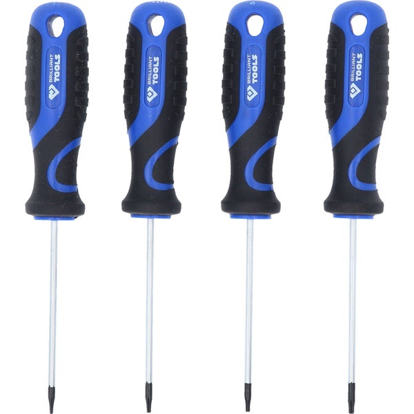 Griff eines Schraubendrehers mit Torx T10 x 100 Millimeter