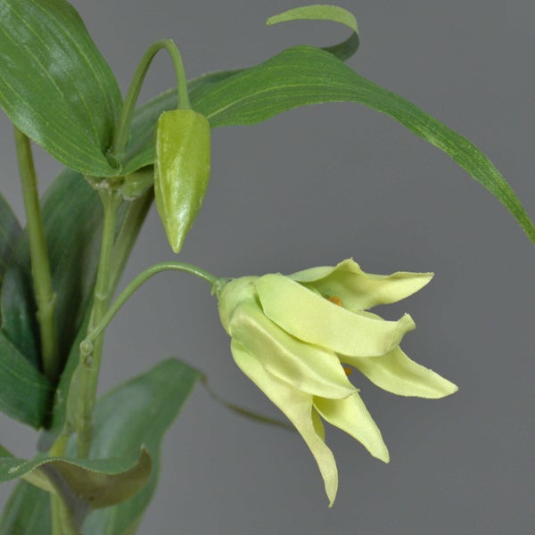 Künstliche Pflanze mit grünen Blättern, einer Knospe und einer glockenförmigen Blüte.