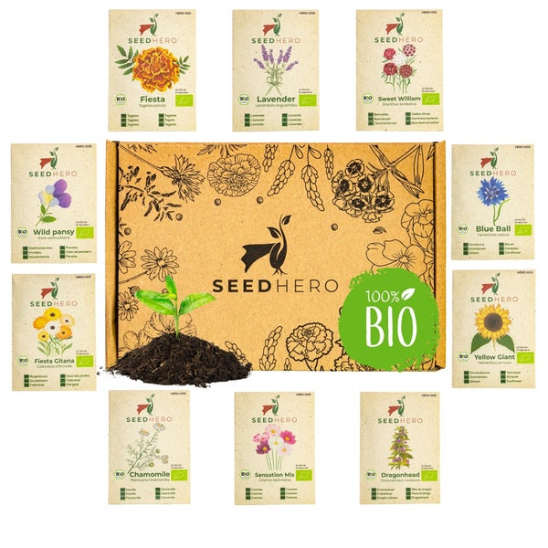 SeedHero Bio-Samen-Set in Box mit SeedHero Logo, bestehend aus verschiedenen Beuteln Blumensamen wie Lavendel, Sonnenblume und Kamille.