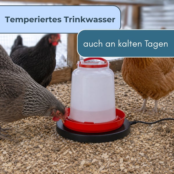 Beheizbare Geflügeltränke mit Wärmeplatte im Hühnerstall, sorgt für frostfreies Trinkwasser für Hühner an kalten Tagen.