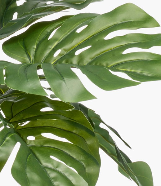 Künstliches Fensterblatt Monstera mit großen grünen geschlitzten Blättern.