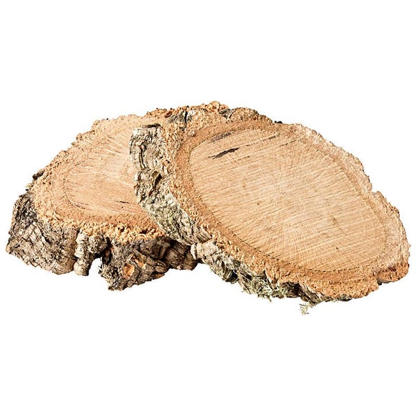 Zwei dekorative Korkscheiben aus Naturkork mit rauer Rinde für Bastelarbeiten oder als Terrarienzubehör.