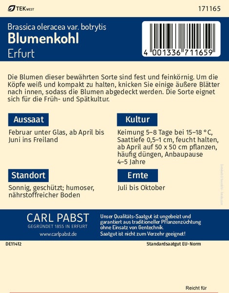 Rückseite einer Samentüte für Blumenkohl Erfurt von Carl Pabst mit Informationen zu Aussaat, Standort, Kultur und Ernte sowie Carl Pabst Logo.