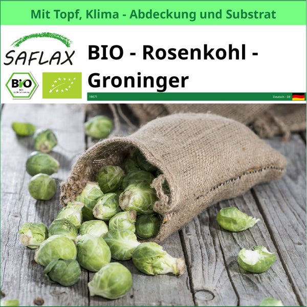 Bio Rosenkohl Saatgut der Sorte Groninger in einem Jutesack auf einem Holztisch