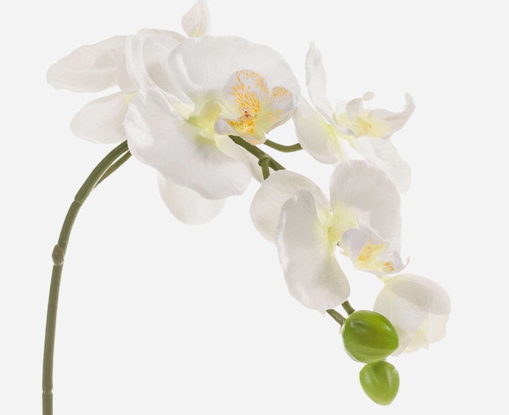 Künstliche Orchidee Phalaenopsis mit weißen Blüten und grünen Knospen am Stiel.