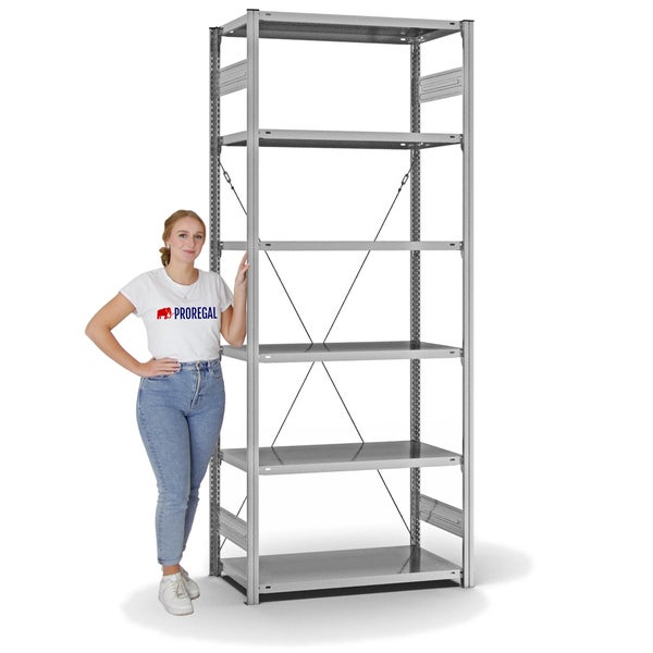 PROREGAL Fachbodenregal Stecksystem T-Profil Light-Duty Grundregal HxBxT 250 x 100 x 50 cm 6 Ebenen Fachlast 140 kg Einseitig Nutzbar Verzinkt