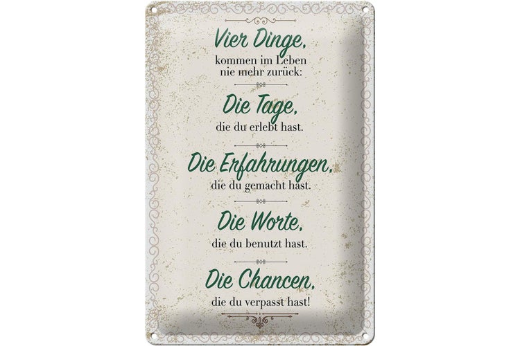 Blechschild Spruch Vier Dinge kommen nie zurück 20x30cm