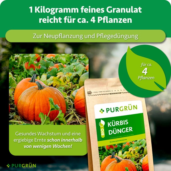 PURGRÜN Bio Kürbis Dünger in wiederverschließbarer Verpackung, geeignet für Neupflanzung und Pflegedüngung von Kürbissen für circa vier Pflanzen.