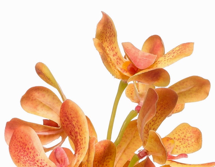 Künstlicher Orchideenzweig mit orangefarbenen Blüten und roten Punkten.