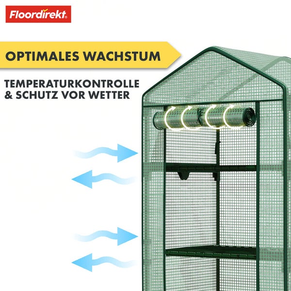 FLOORDIREKT Gewächshaus Bloom - Witterungsbeständig aus robustem Stahlrahmen - mit 2 Ablageebenen