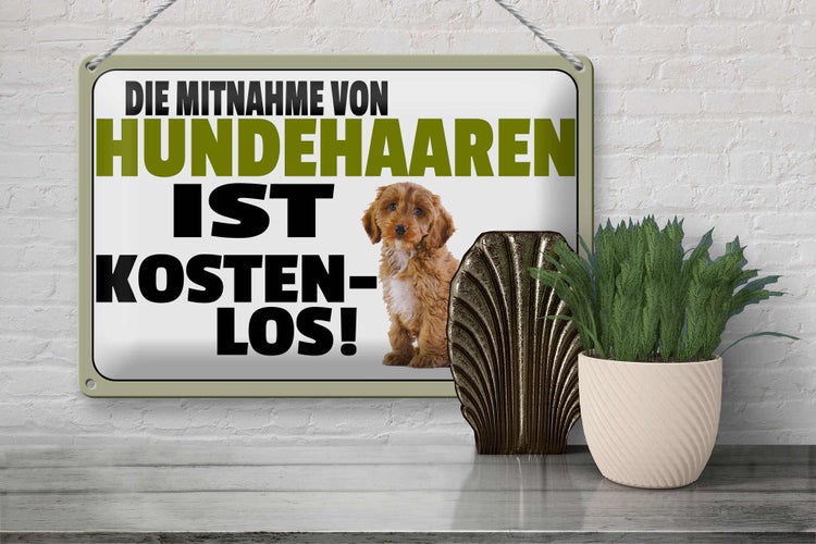 Blechschild Spruch 30x20cm Mitnahme Hundehaaren kostenlos