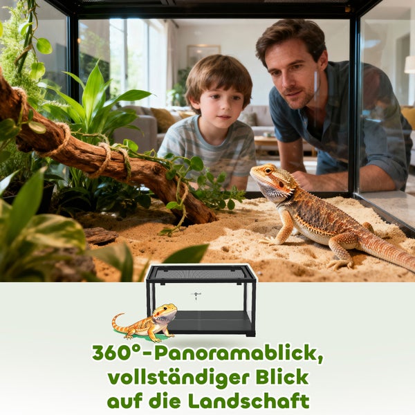 Ein Vater und sein Sohn beobachten eine Bartagame in einem Glasterrarium mit Sand und Pflanzen, das einen 360 Grad Panoramablick ermöglicht.