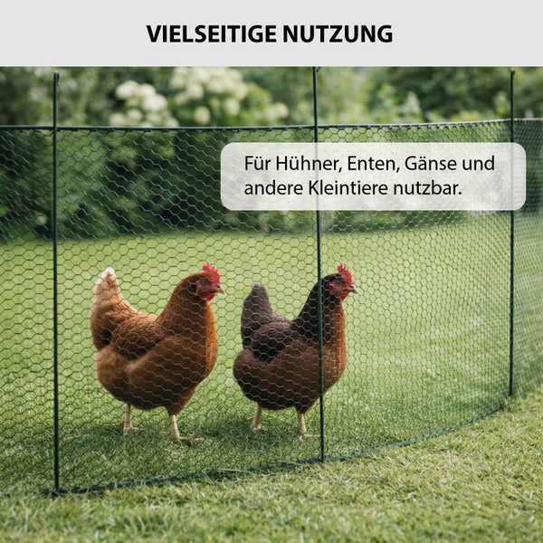 Hühnerzaun aus Maschendraht im Garten mit zwei Hühnern, geeignet für Hühner, Enten und Gänse.