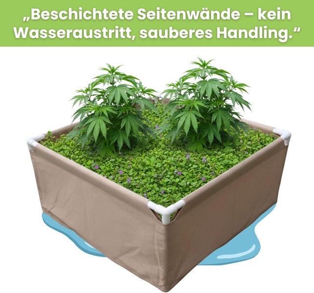 Anzuchtkasten mit Pflanzen und grüner Bodendeckung