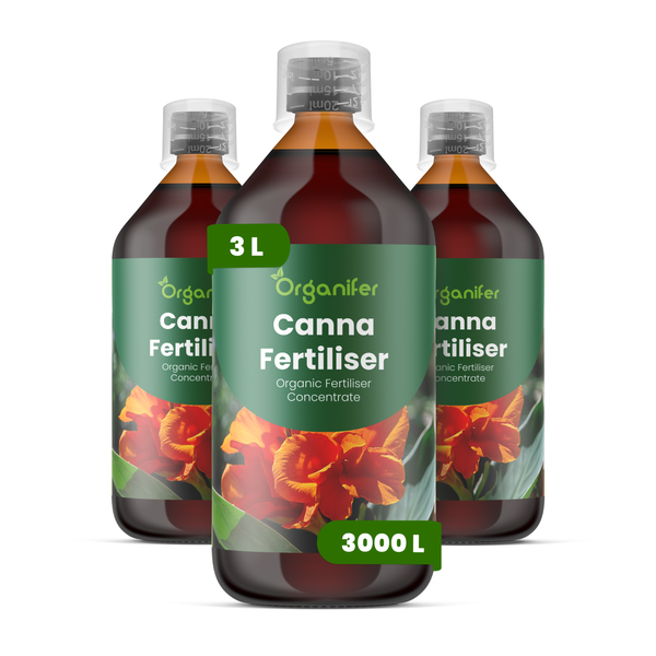 Drei Flaschen Organifer Canna Dünger, organisches Düngerkonzentrat, jeweils 3 Liter.