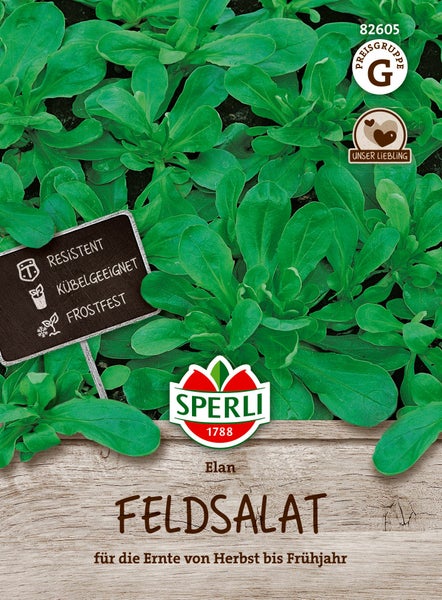 Sperli Feldsalat Elan Saatgut für die Ernte von Herbst bis Frühjahr geeignet für Kübel und resistent sowie frostfest