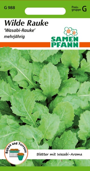 Wildrauke 'Wasabi-Rauke' mehrjährig Samenpackung