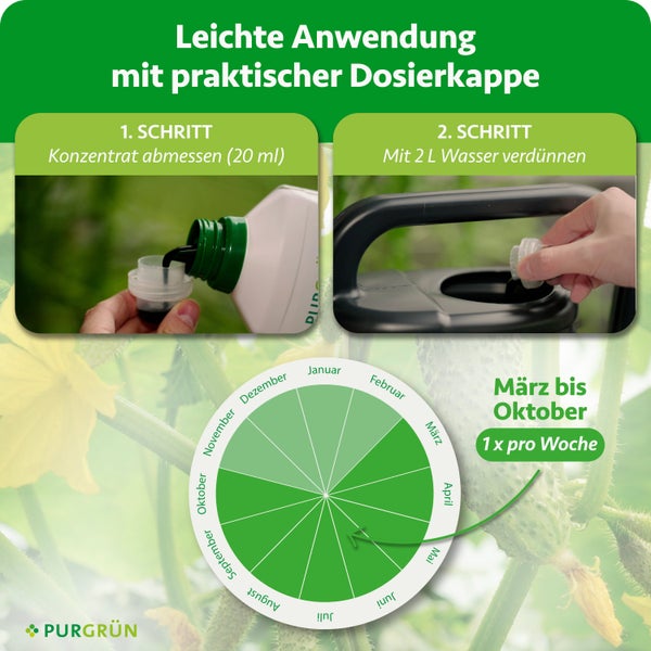 Anleitung für Dünger: 20 Milliliter abmessen, mit 2 Liter Wasser verdünnen. Anwendung März bis Oktober einmal pro Woche. Purgrün Logo.
