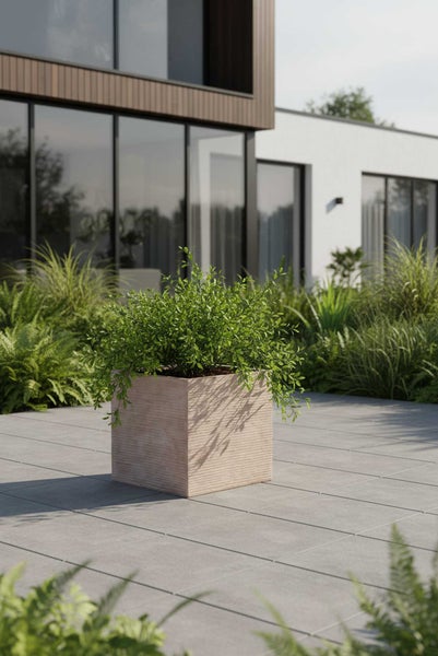 Quadratischer Pflanzkübel in Steinoptik mit grüner Pflanze auf einer modern gestalteten Terrasse mit grauen Bodenplatten vor einem Haus.