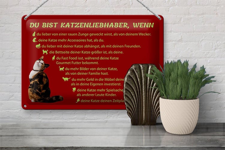 Dekoratives Schild mit Katzensprüchen und Zimmerpflanze im Topf