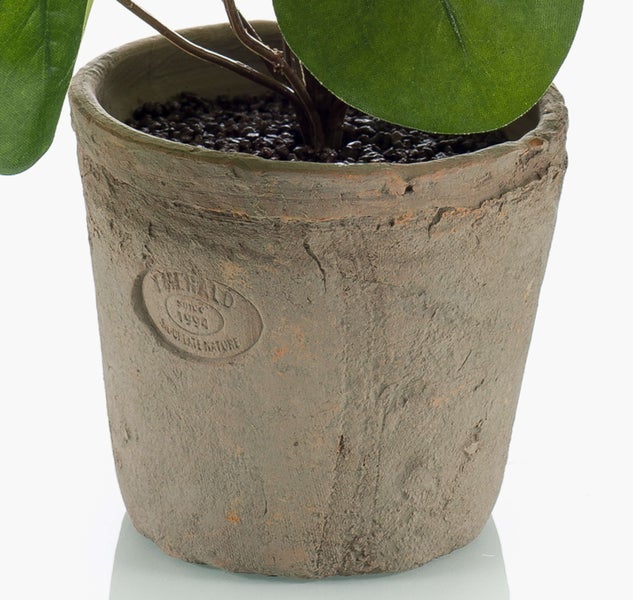 Rustikaler Blumentopf in Steinoptik mit Emerald Logo, Substrat und Zimmerpflanze.