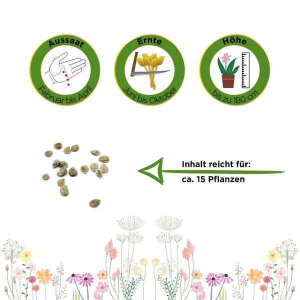 Piktogramme für Aussaat von Februar bis April, Ernte von Juni bis Oktober, Höhe bis 180 Zentimeter. Inhalt reicht für circa 15 Pflanzen.