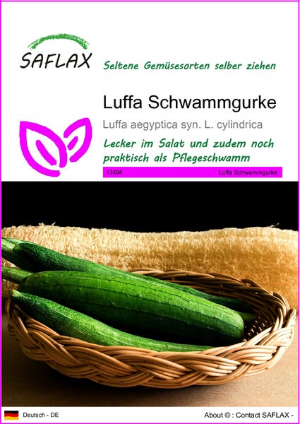SAFLAX  - Luffa Schwammgurke - Luffa aegyptica syn. L. cylindrica - 10 Samen