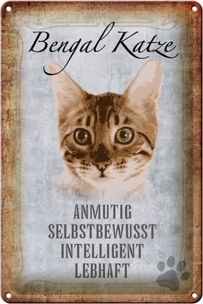 Blechschild Spruch 20x30cm Bengal Katze Schild