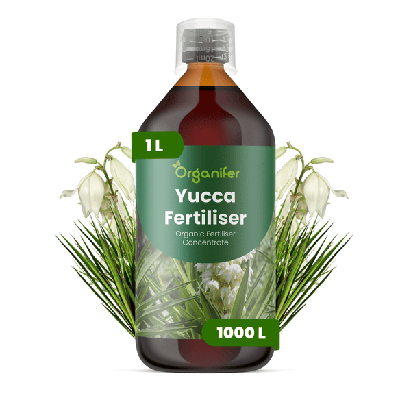 Organifer Yucca Dünger, organisches Düngerkonzentrat in einer 1 Liter Flasche mit Messkappe.