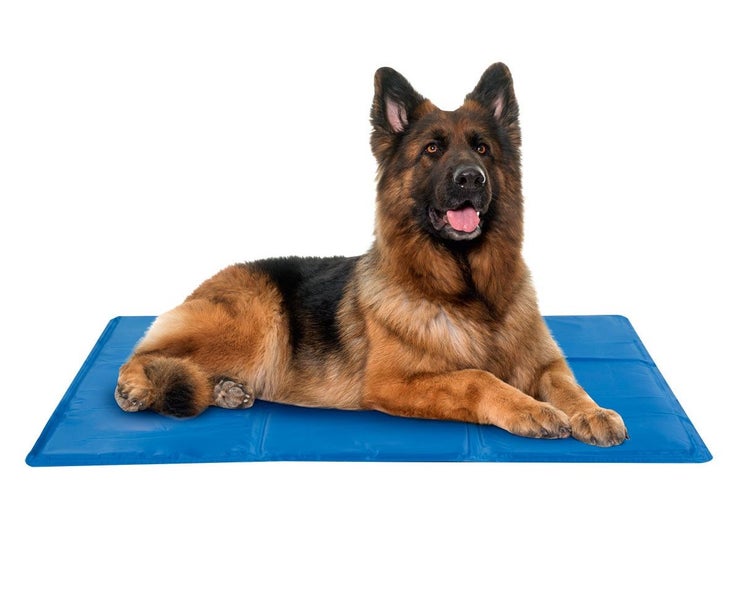 Resch Kühlmatte für Hunde, Katzen & Menschen - 50 x 65cm, Selbstkühlende Gelmatte für Hund & Katze, zur Kühlung der Körpertemperatur, Haustier Kältematte, Kühldecke, Hundematte
