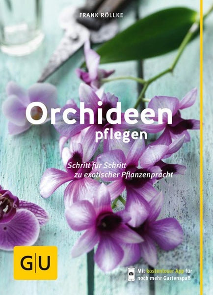 Orchideen pflegen Schritt für Schritt zu exotischer Pflanzenpracht