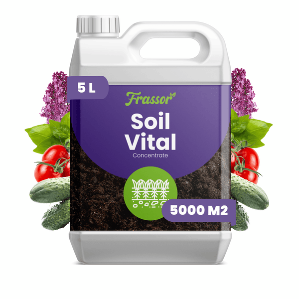 Frassor Soil Vital Bodenaktivator Konzentrat in 5 Liter Kanister für 5000 Quadratmeter zur Verbesserung der Bodenqualität im Garten