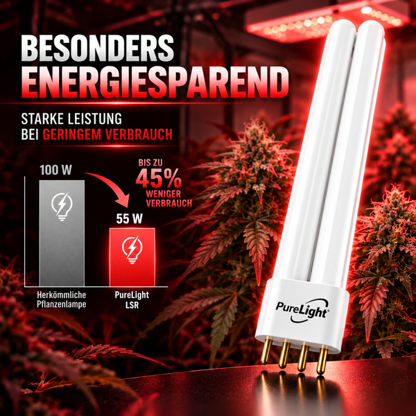 PureLight Energiesparlampe fuer Pflanzen mit 55 Watt Leistung und vierpoligem Anschluss vor einer Hanfpflanze mit Energievergleichsgrafik.