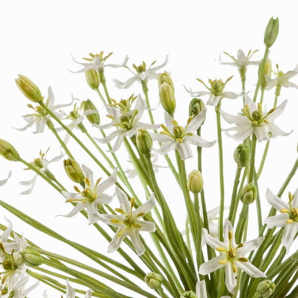 Künstliche Allium-Blume mit weißen Blüten und braun-grünem Stiel.